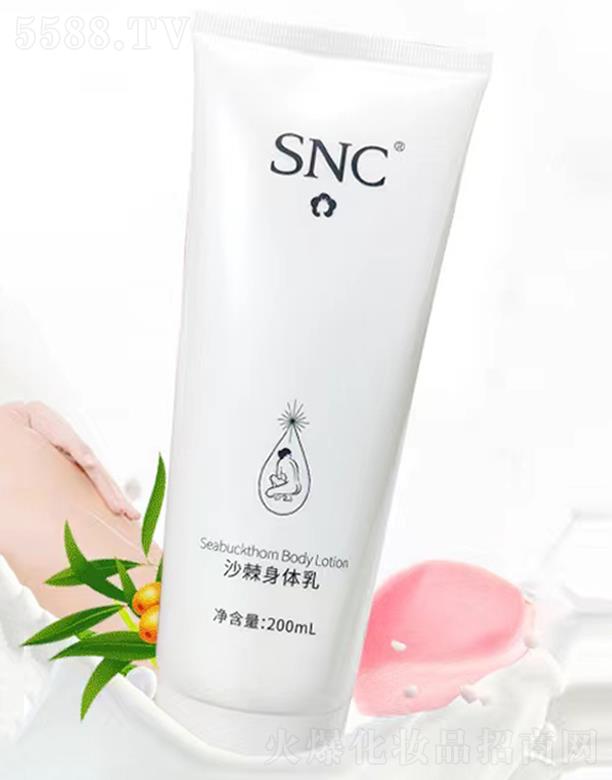 ���ɹ���˸߼��g�a�I����؟�ι�˾��SNCɳ�����w��