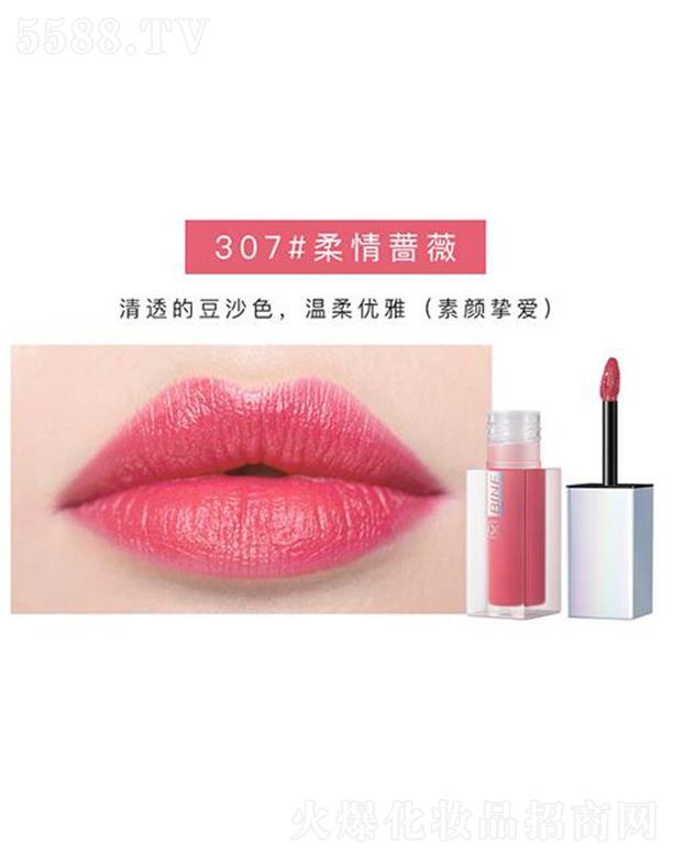 �V���������r���̘I�ɷ����޹�˾��������ݼ���۴���307#�����Nޱ