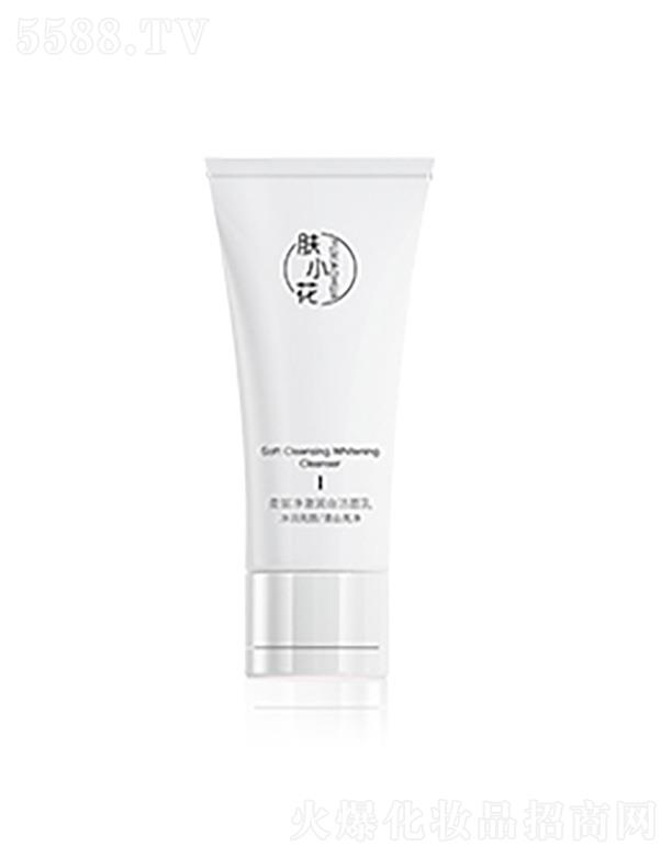 �V�������Ż��yƷ���޹�˾���wС�����������ם����� 100g