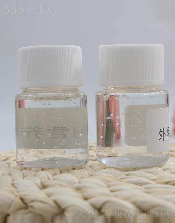 �V���R������Ƽ����޹�˾����ꎠI�B���z