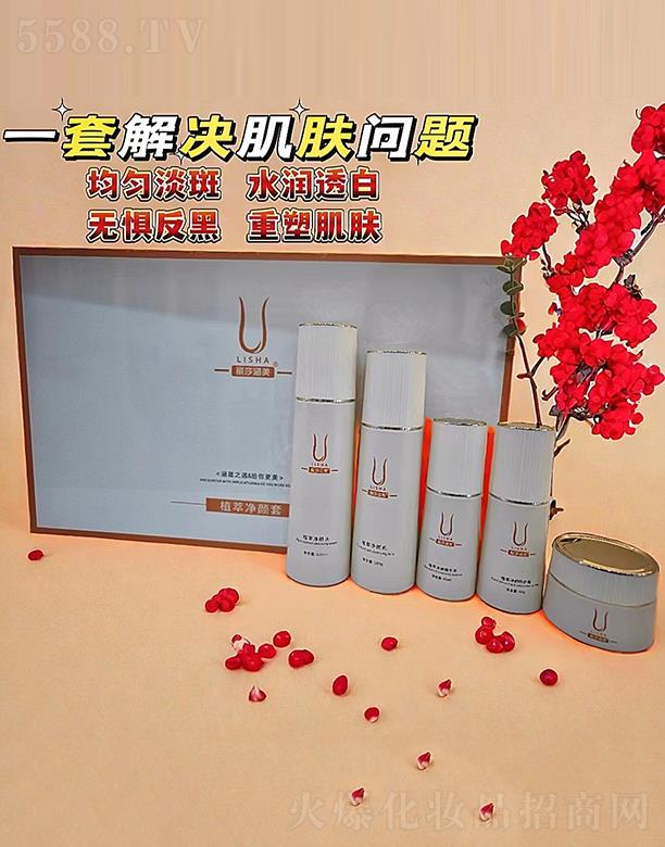 �����ɯ���I���Q���޹�˾��������ֲ�̓����