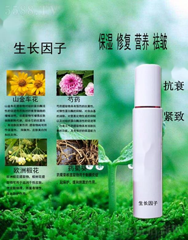 �V�������tˎ����Ƽ����޹�˾�������ޏ;��A