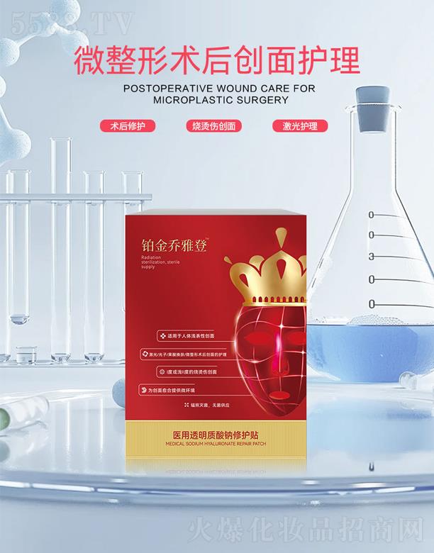 �V���а��ƅ^ʯ����ʢ����Q�꣨���w���̑������K�����ŵ��t��͸���|���c���o�N