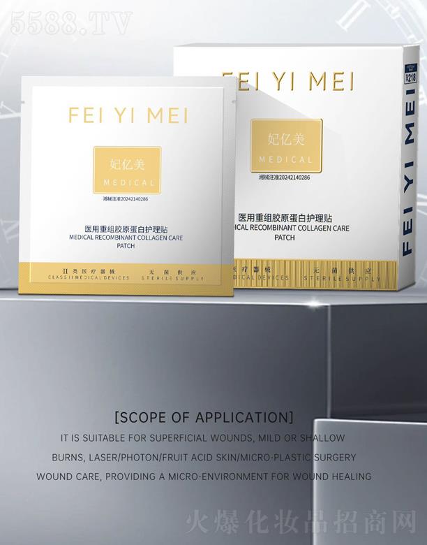 �V���а��ƅ^ʯ����ʢ����Q�꣨���w���̑��������|���t���ؽM�zԭ�����o���N