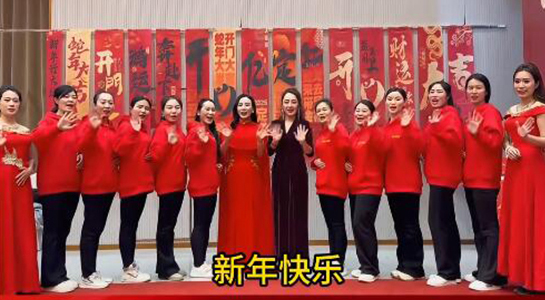 蛇年好運至,幸福滿人間!飛斯達祝您百事從歡,一路向陽!