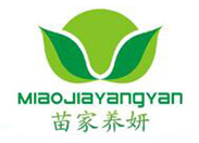 ����B�� �ꡤ����������