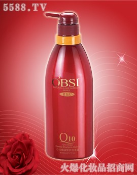 �W����Q10ϴ�oϵ��