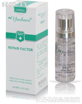 �ޏ�����