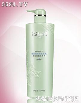 控油清潤(rùn)洗發(fā)乳480