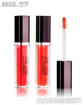 ZFC�����R�洽��