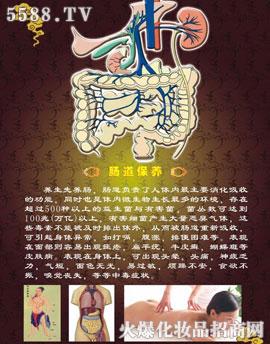 �V�ݼ���������Ƽ����޹�˾���������c�����B�׺н�B