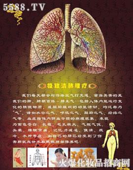 ����������׽�B