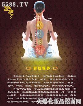 �V�ݼ���������Ƽ����޹�˾�����������w�������B�׽�B