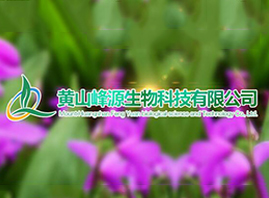 �Sɽ��Դ����Ƽ����޹�˾