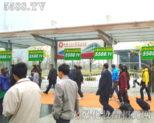 һ�����ε�������׌�҂����Ż������ǵ�