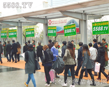 �����Q���ɔ�,�Գֲ��܄���