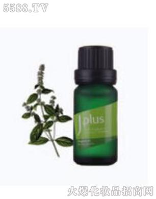 ����L(f��ng)����