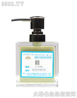 Y-17958Ĩ��I�B���A˪