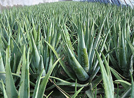 �����|֮�C���I���޹�˾