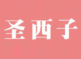 ���(y��ng)ʥ���ӽ����������޹�˾