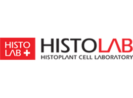 ����n�����I���H�Q�����޹�˾