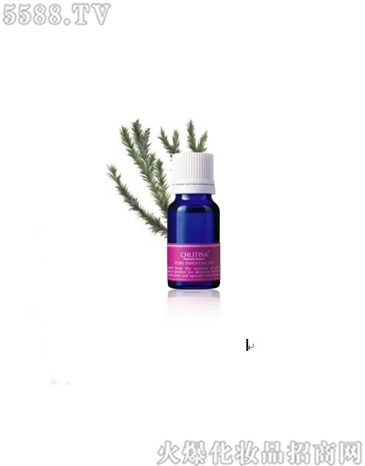 �������Ȳ��