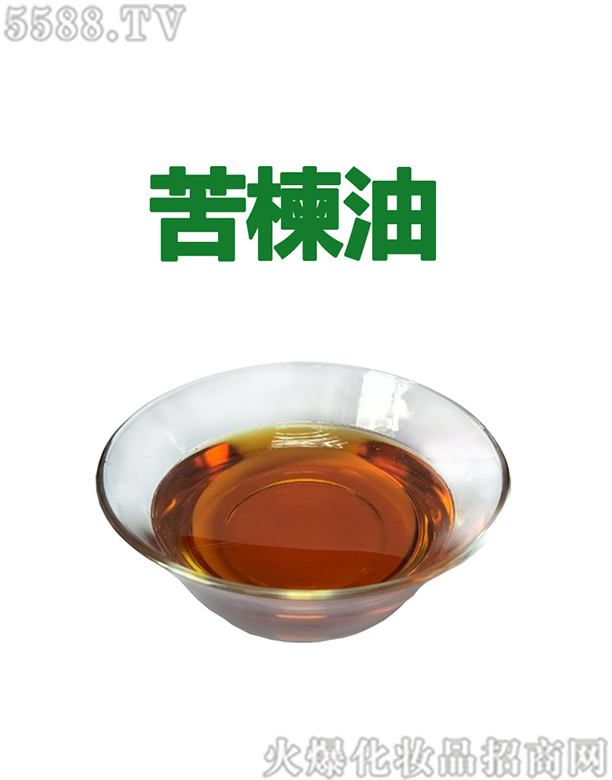 ����ݿ����