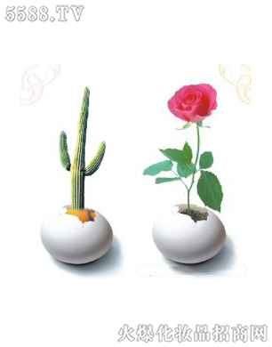 ��ǻ�ޏ�3��ɆT