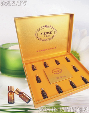 �^�����𱾲��B���M��