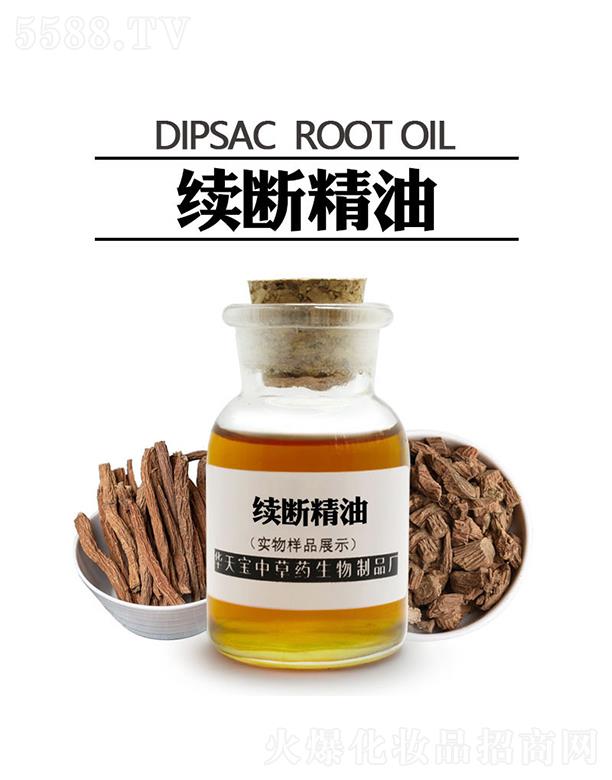 華天寶續斷精油