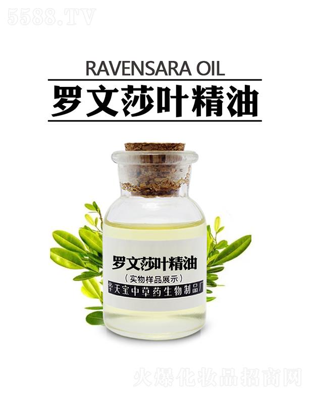 華天寶羅文莎葉精油