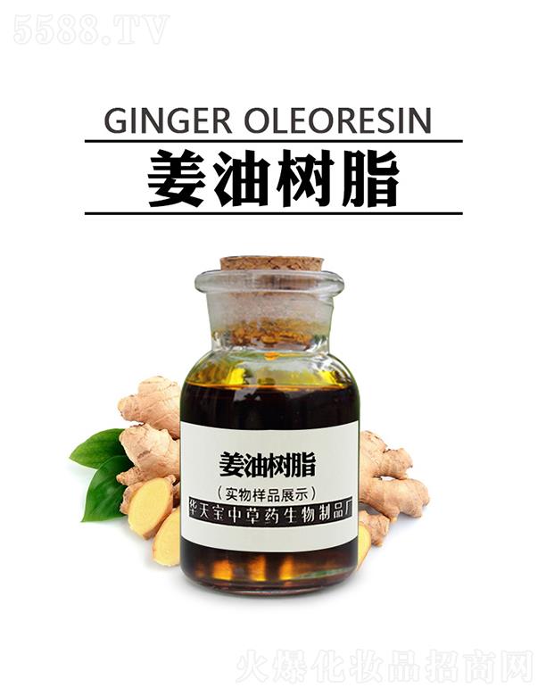 華天寶姜油樹脂