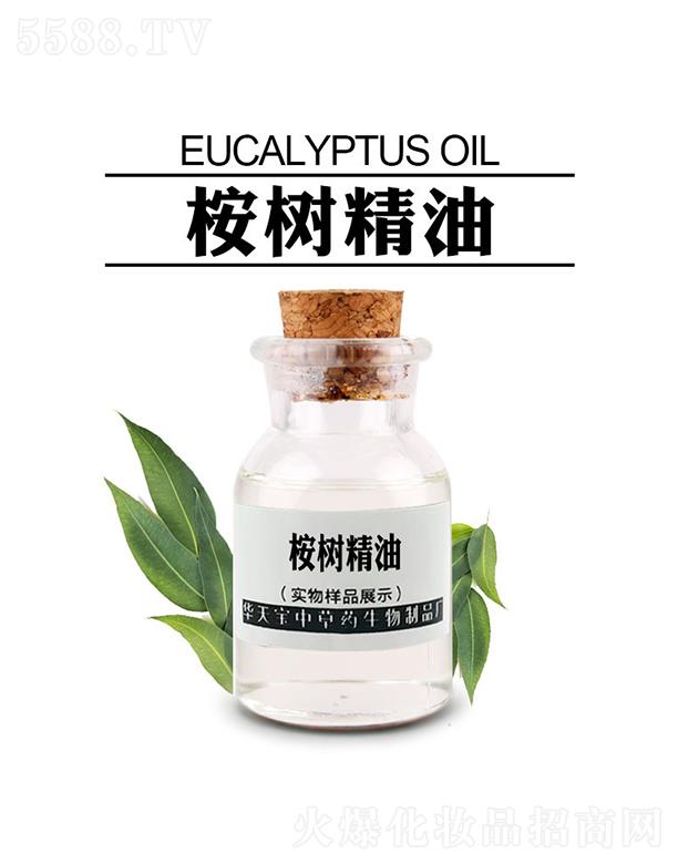 華天寶桉樹精油