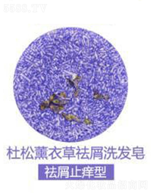 ��ܽ������޹�²���мϴ�l��-��мֹ�W��