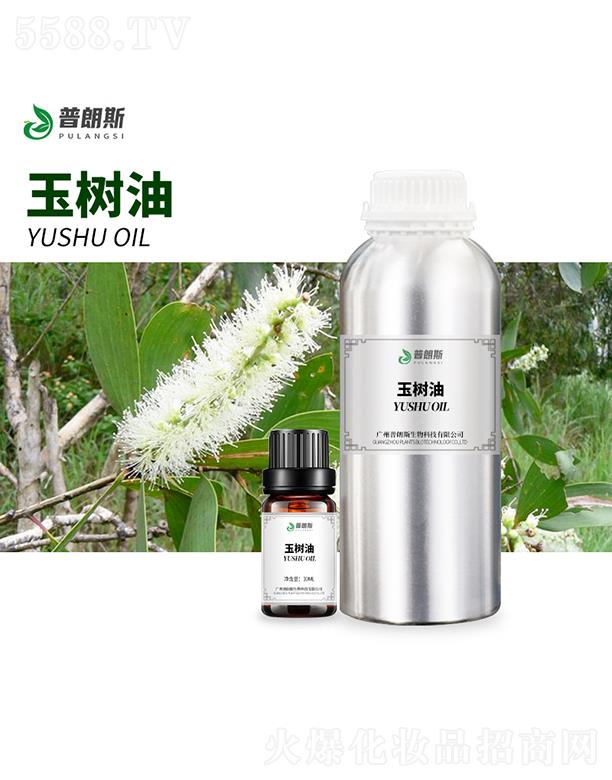 ����˹�����