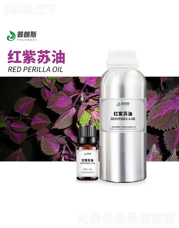 ����˹�t���K��