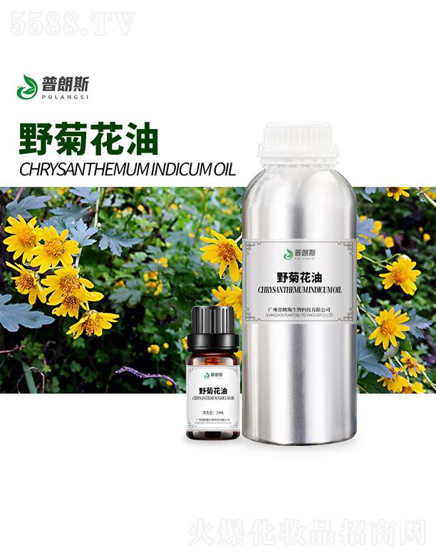 ����˹Ұ�ջ���