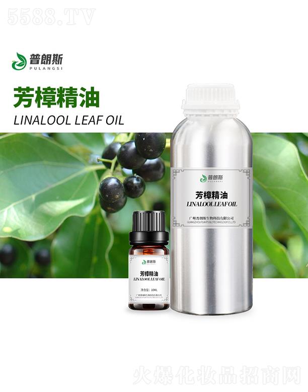 普朗斯芳樟精油