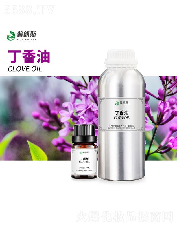 ����˹������