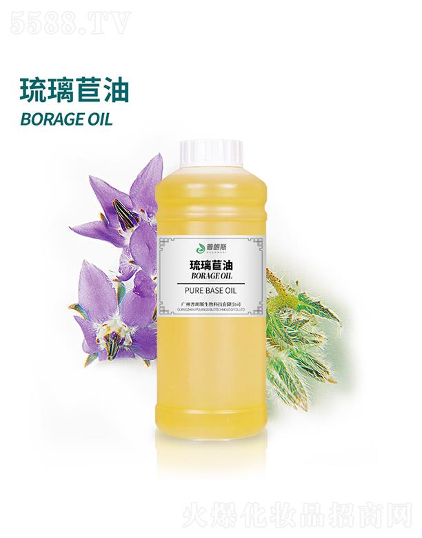 ����˹��������