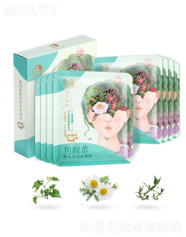 �������W�~�Ȳ��澏������Ĥ�N