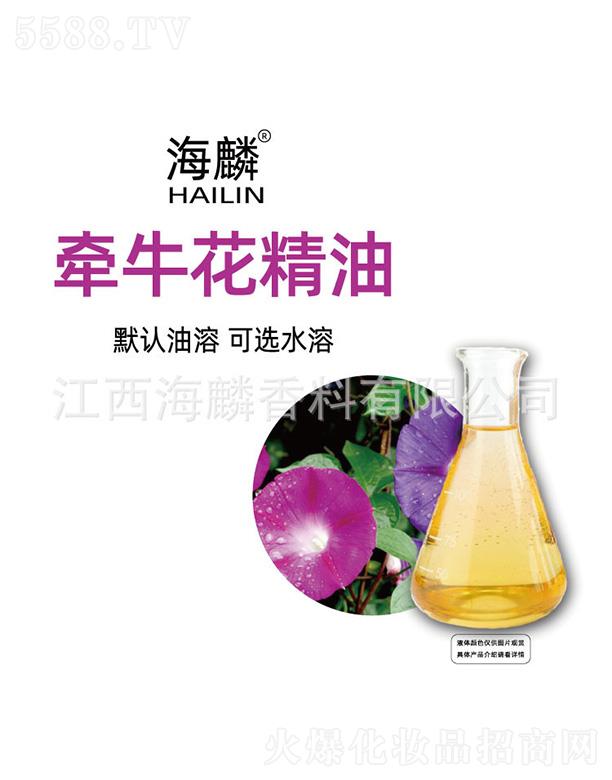 ���렿ţ������