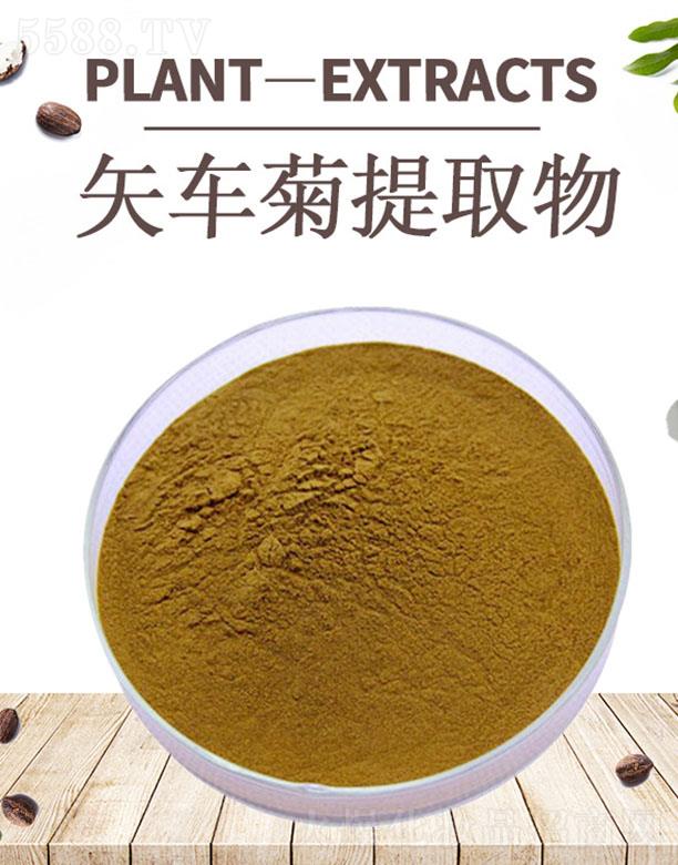 �ĺ�ʸ܇����ȡ��