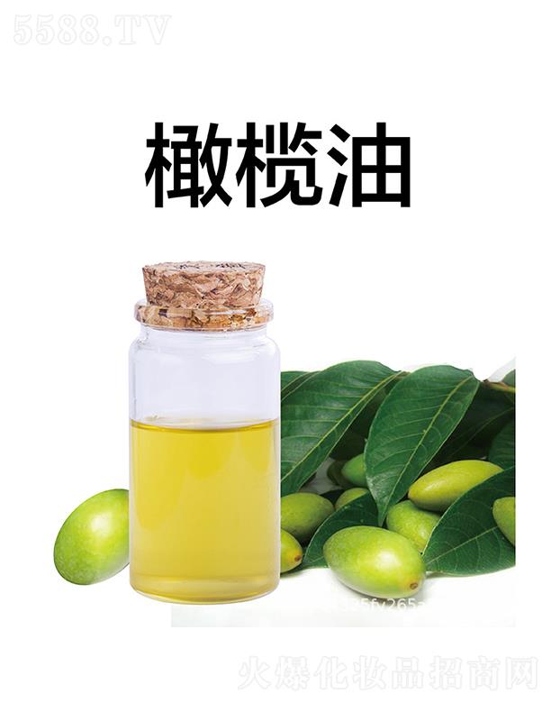 天竺橄欖油