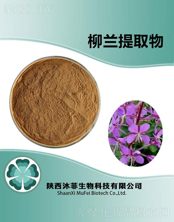 沐菲柳蘭提取物