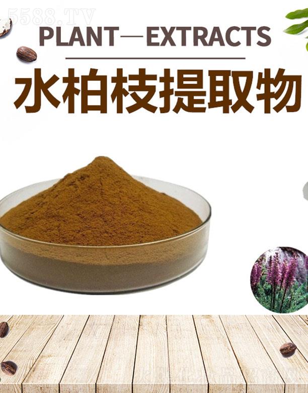 �ĺ�ˮ��֦��ȡ��