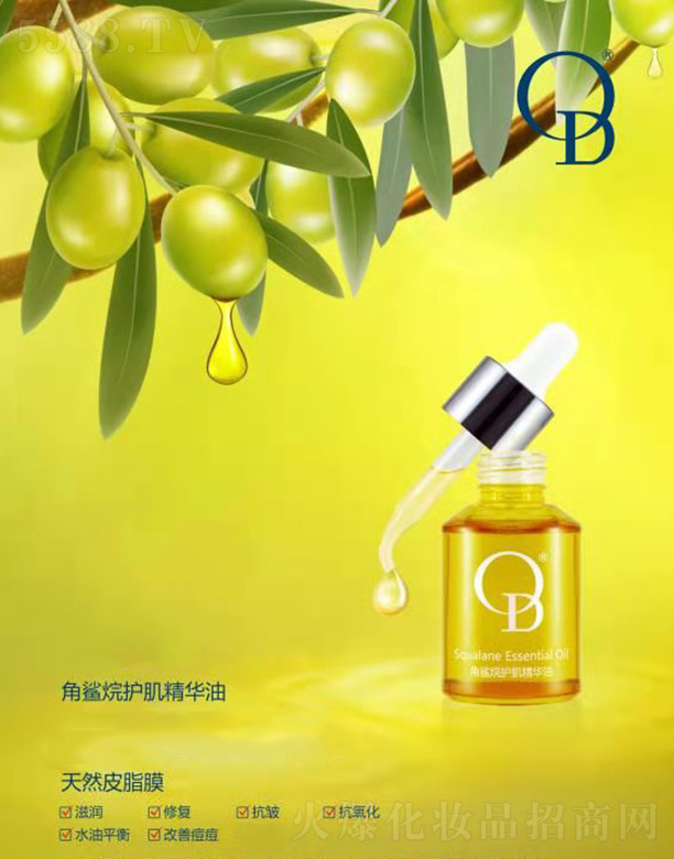 OD�������o�w���A��