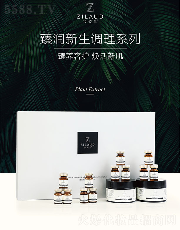 �y���m�静����ϵ���{���׺�