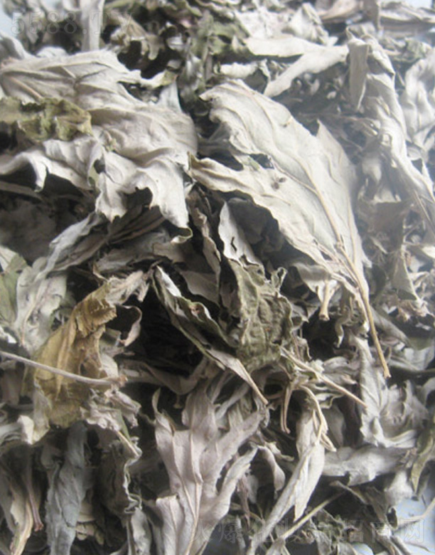 �������r���� 500g