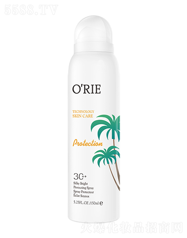 ����͸���o���F